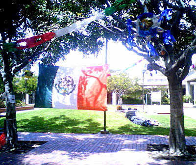 Mexican Flag and cinco de mayo decorations