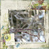 Signs of Spring