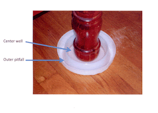 Climbup insect interceptor uses a rough outer surface to trap bedbugs in the smooth-sided inner 'moats'