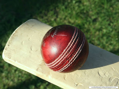 cricket world cup 2011 by cool wallpapers at cool and beautiful wallpapers and wallpaper