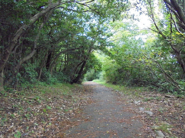 荒磯遊歩道