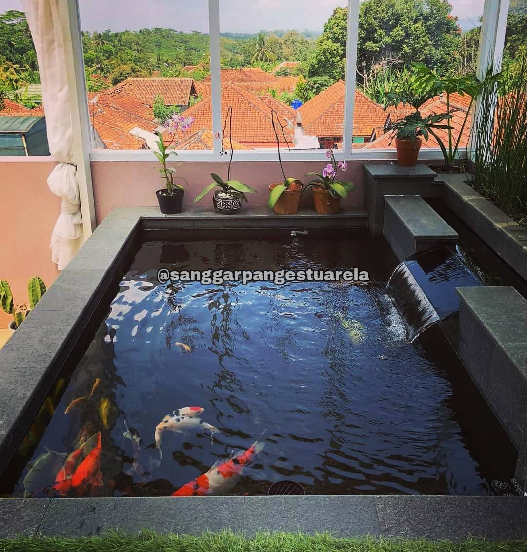 Tukang Kolam Ikan Koi Blora Dan Cepu Jasa Pembuatan Kolam Ikan