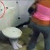  Crazy Funny Pranks Ever Seen (Must Watch)