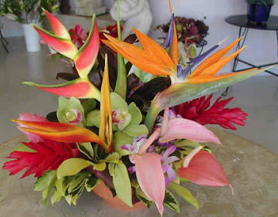 For more information visit Hawaiian Weddings at 