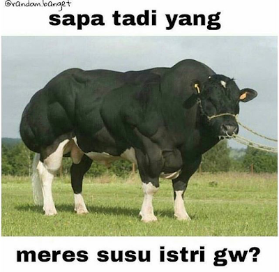 29 Meme Kata-Kata Lucu Andai Binantang Bisa Bicara Ini Kocak Banget