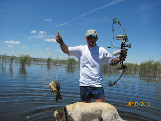 bowfishing for carp