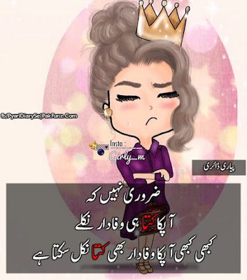 Girly_m pyari diary images funny urdu poetry