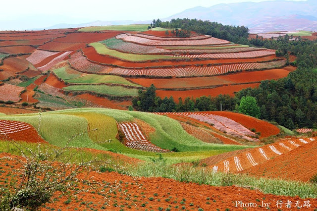 dongchuan kirmizi toprak 3