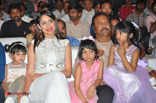 turodu Telugu Movie Audio Launch Stills  0014.jpg