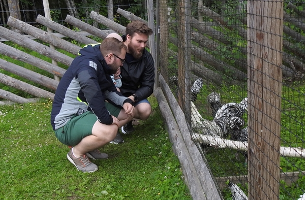 tangen dyrepark