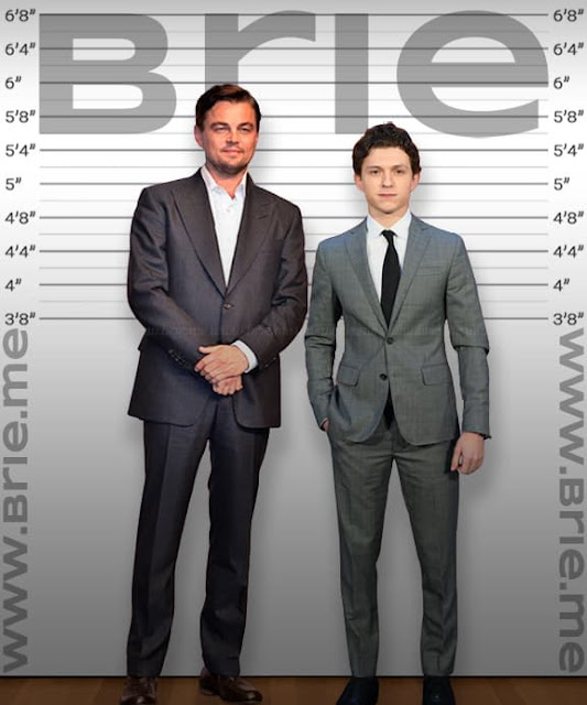 Leonardo DiCaprio height comparison with Tom Holland