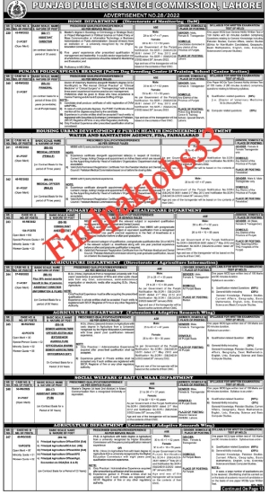 Punjab Public Service Commission (PPSC) Jobs 2022 Online Apply Advertisement No. 28 / 2022