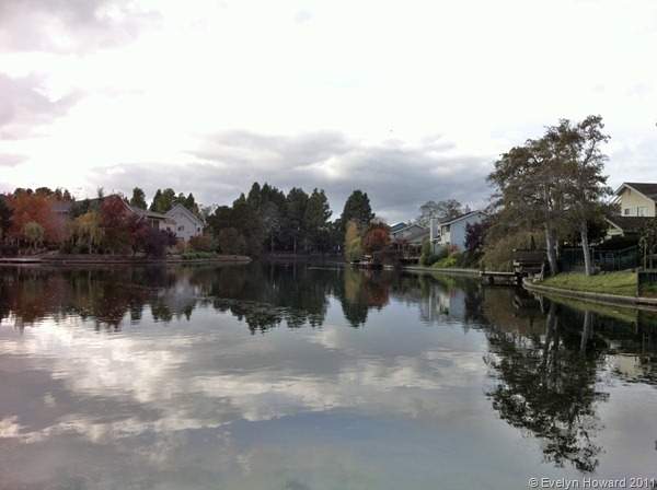 Alameda © Evelyn Howard 2011