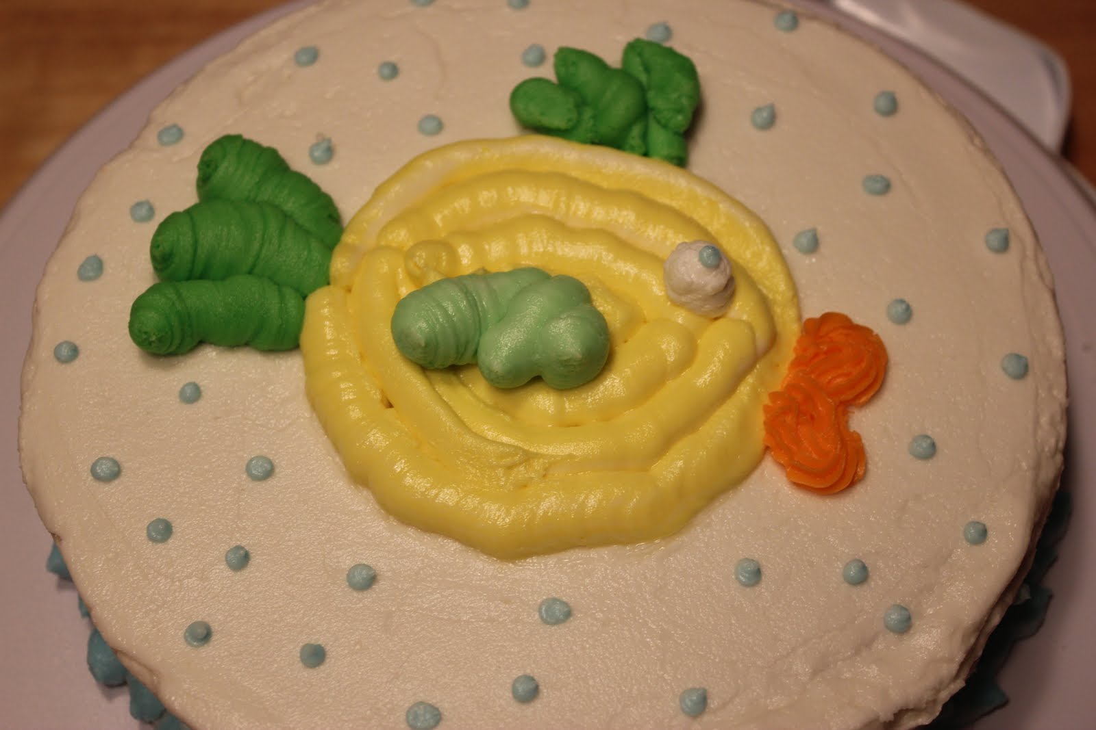 Chelsea's Choice: My First Wilton Basic Cake Decorating Class Cake!