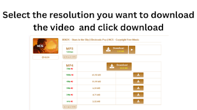 After pasting many options will appear below select mp4 from it Select the resolution you want to download the video.