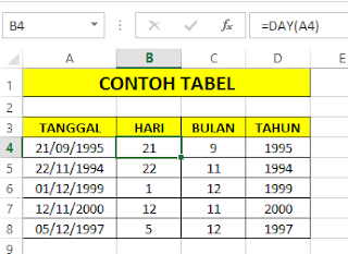 Fungsi Rumus DAY Pada Microsoft Excel