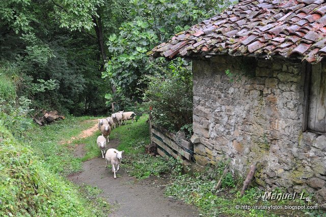 Paseo del Agua