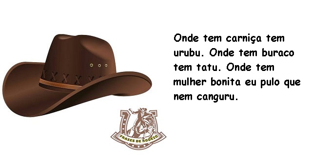 - Onde tem carniça tem urubu. Onde tem buraco tem tatu. Onde tem mulher bonita eu pulo que nem canguru.