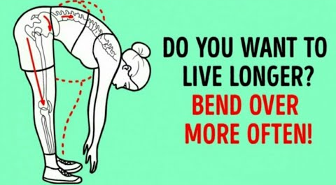 Physical Exercises To Live Long, According To Scientists