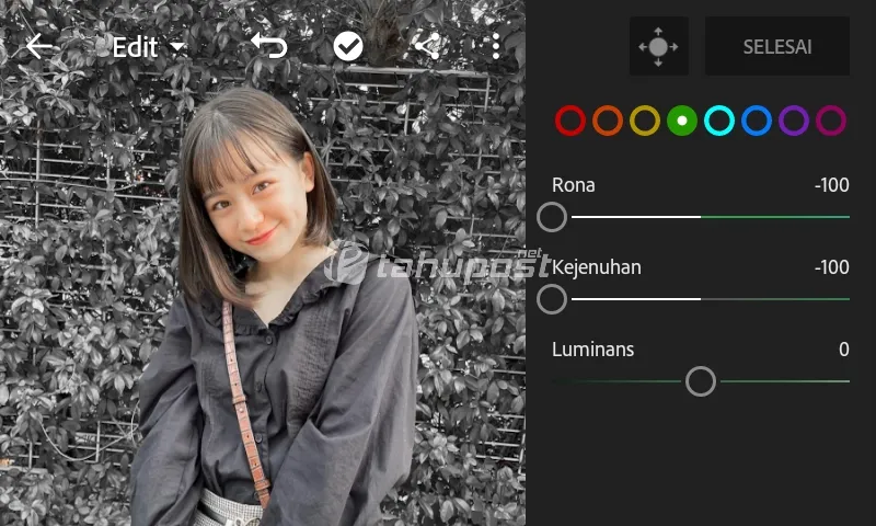 Cara Mengubah Warna Daun di Lightroom Android Jadi Abu-Abu