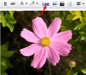 Creating a Picture Link in Blogger Posts