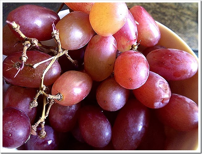 free-images-of-grapes-1 (2214) free-images-of-grapes-1 (2214)