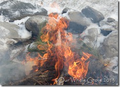 read this fire