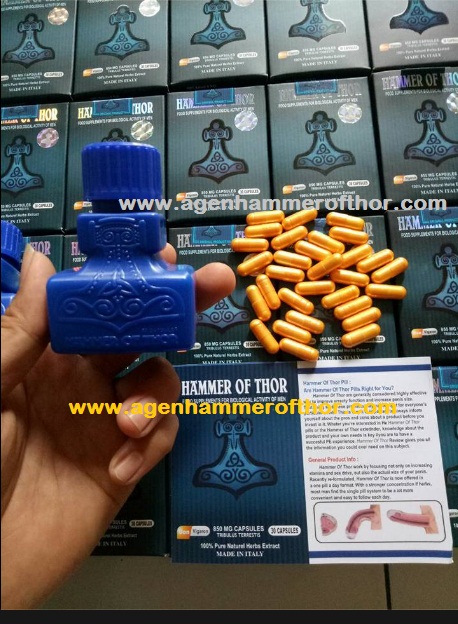 agen jual hammer of thor asli