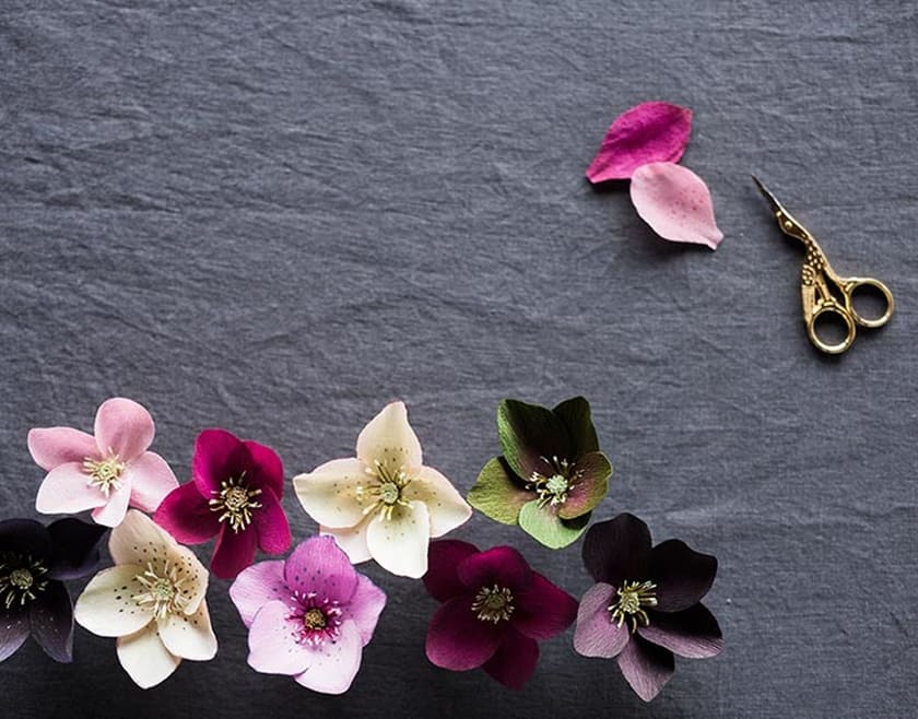 DIY Paper Hellebore Flower Tutorial