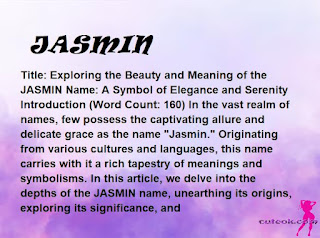 meaning of the name "JASMIN"