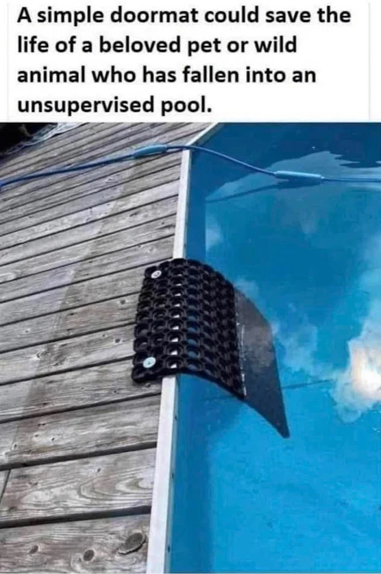 If you have a swimming pool this hack could be a lifesaver!