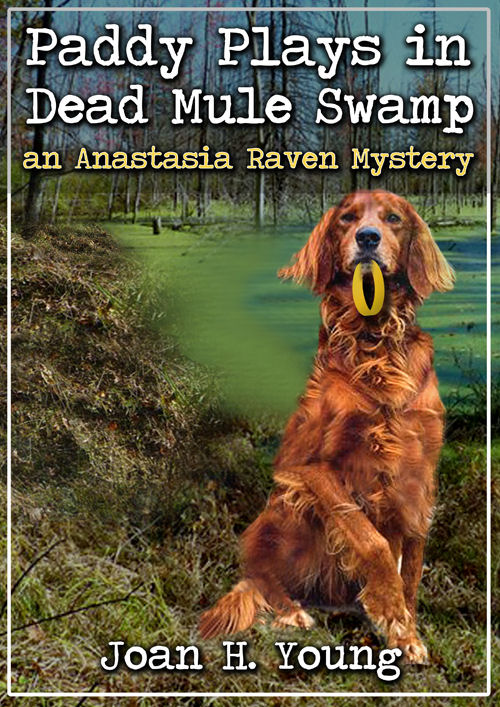 cover for Paddy Plays in Dead Mule Swamp