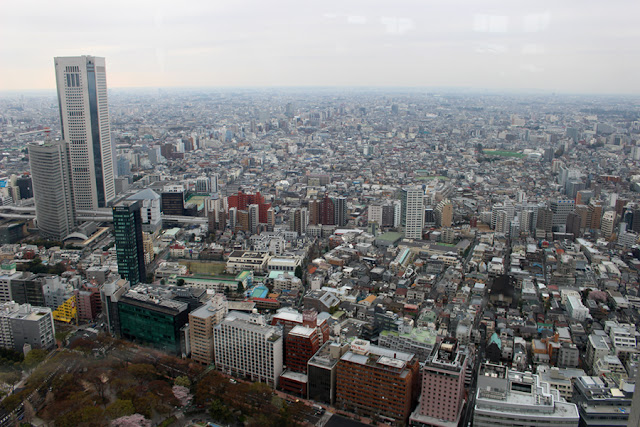 Vue de Tokyo depuis la tour gouvernementale