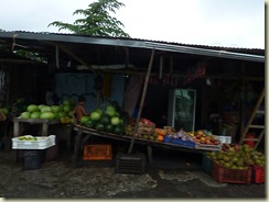 P1020741