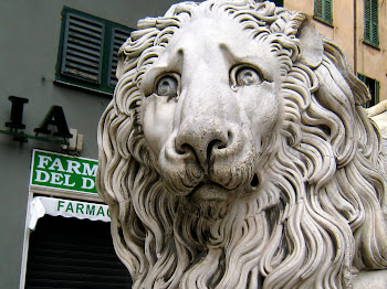 The Other Lion of San Lorenzo
