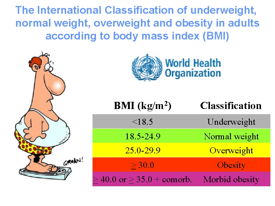 Bmi Obesity Classification