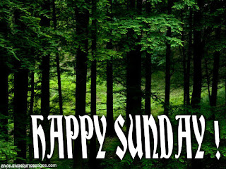 happy sunday images