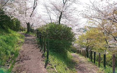 滝谷公園(富田林市)