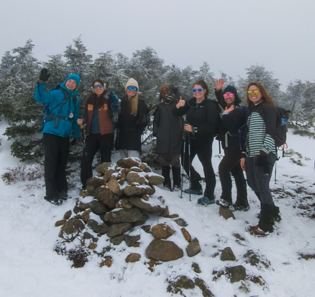 Snowy Mt Pierce Summit