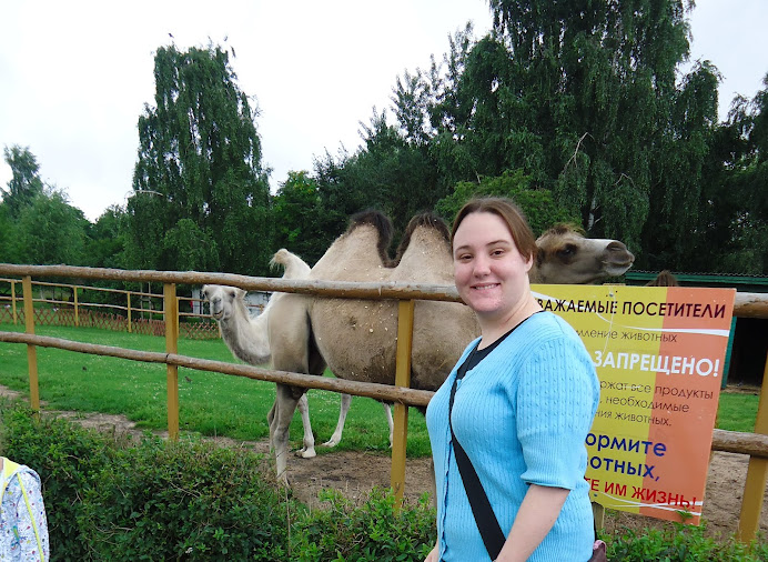 Camels!!