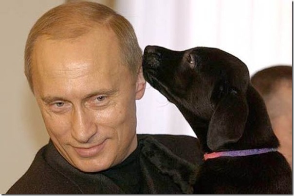 Vladimir Putin e o seu amor pelos animais (2)