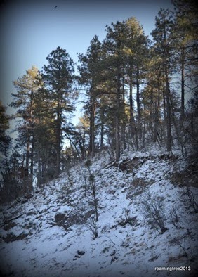 Snow!