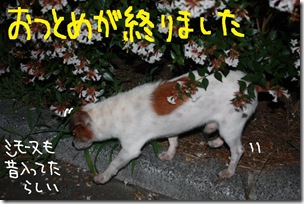 今日カズ１００７２５　１