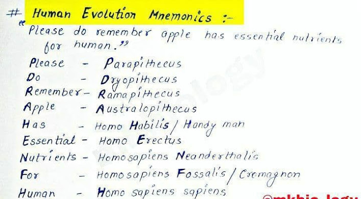 Human evolution mnemonic short trick
