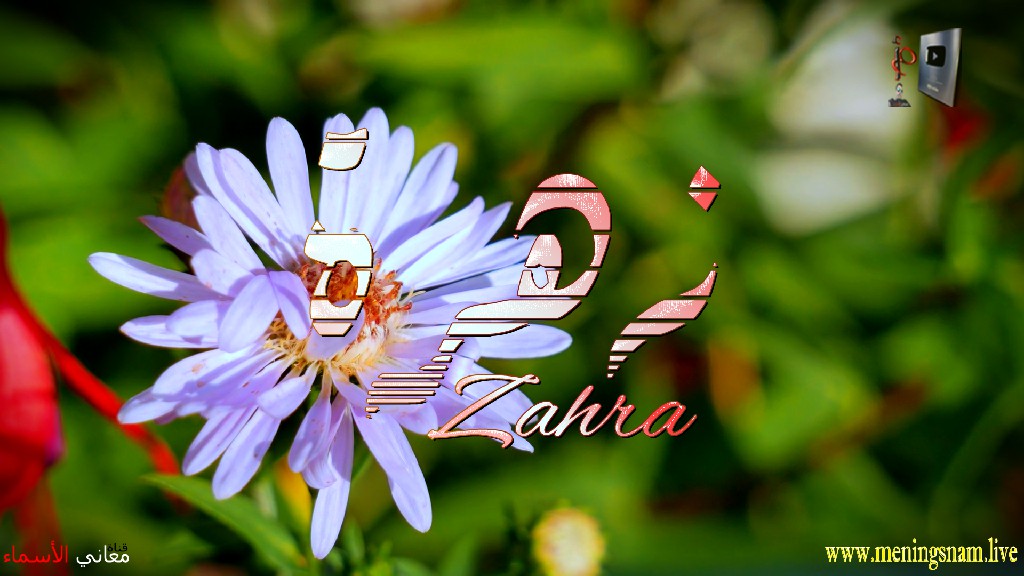 معنى اسم, زهرة, وصفات, حاملة, هذا الاسم, Zahra,