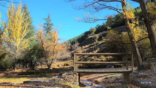 Área recreativa la Tizná, Barranco Alcázar