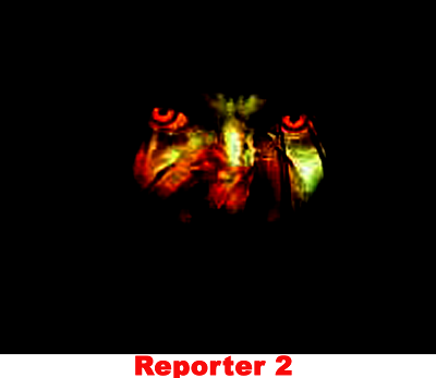 Reporter 2 Lite