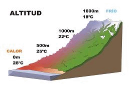 Resultado de imagen de clima y altitud