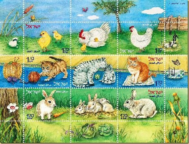 Baby animals