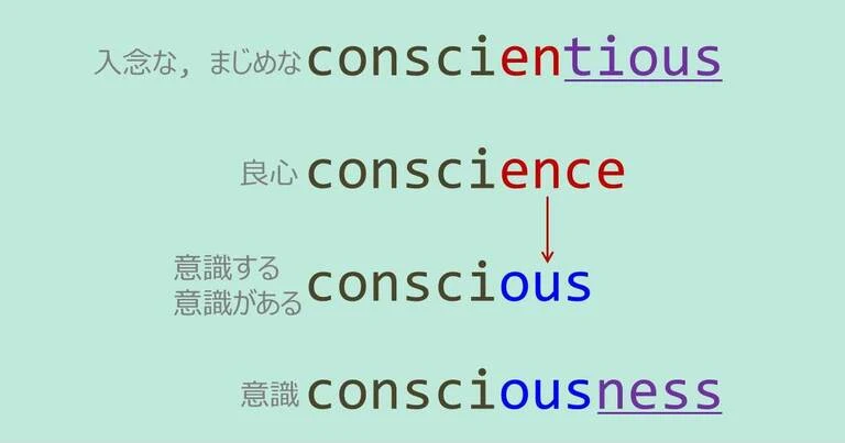 conscience, conscientious, conscious, consciousness, スペルが似ている英単語